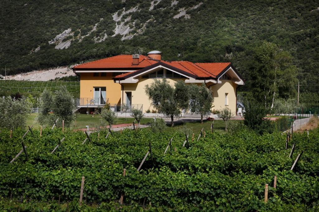 Appartamenti Al Vigneto Dro Exteriör bild