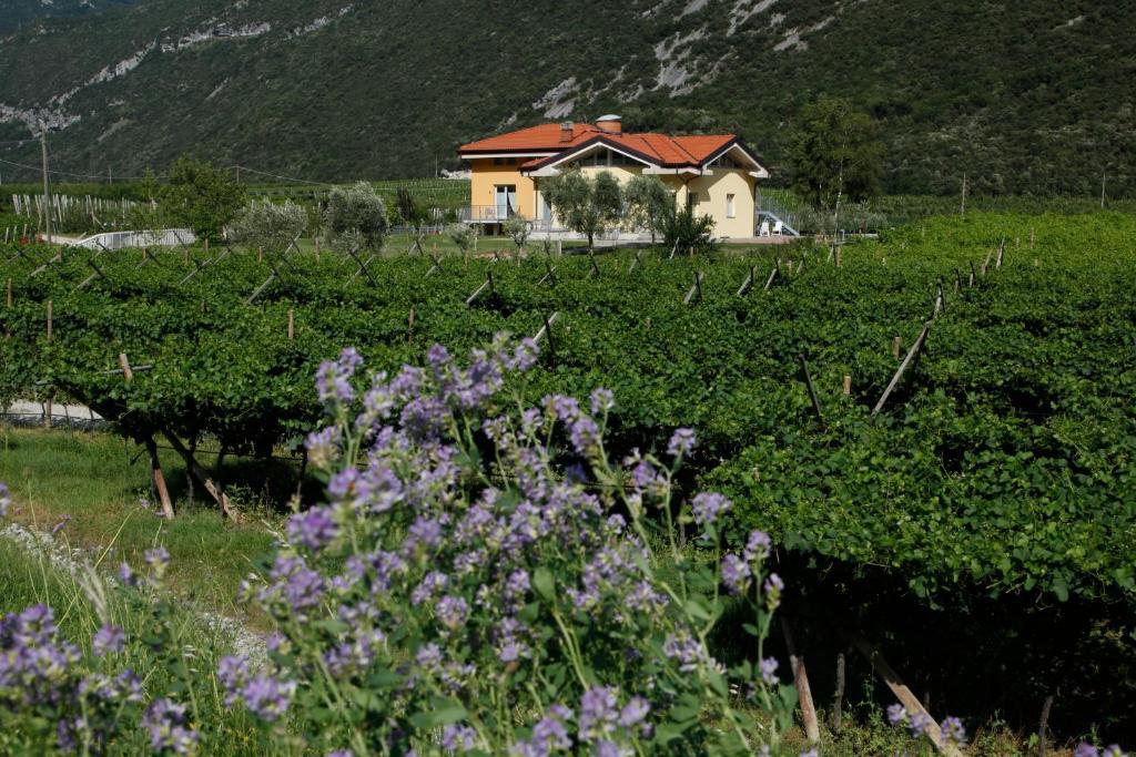 Appartamenti Al Vigneto Dro Exteriör bild